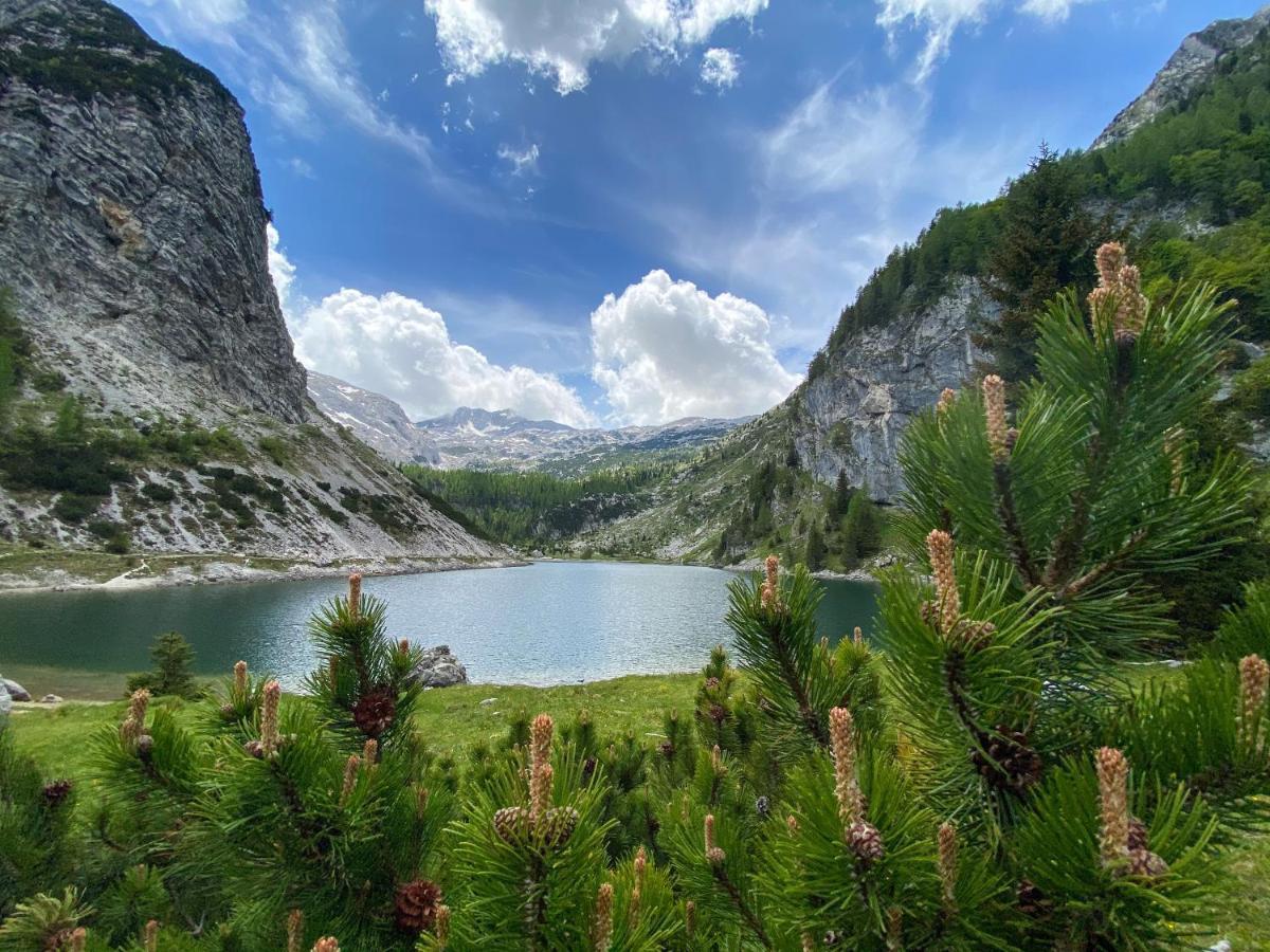 Isonzo Apartment Бовец Экстерьер фото